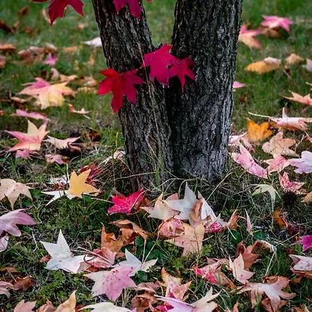 Liberty ホテル Pontecurone